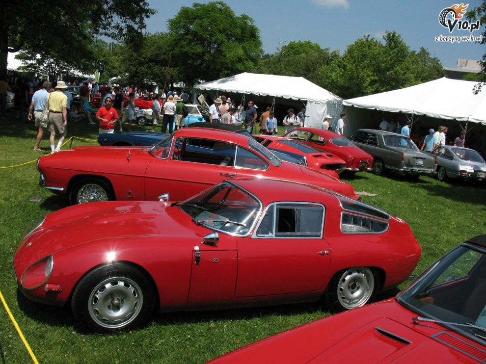 Greenwich Concours d'Elegance 2008 dzie 2