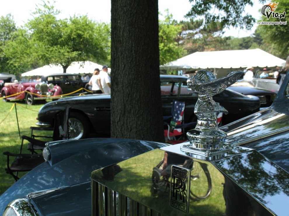 Greenwich Concours d'Elegance 2008 dzie 2