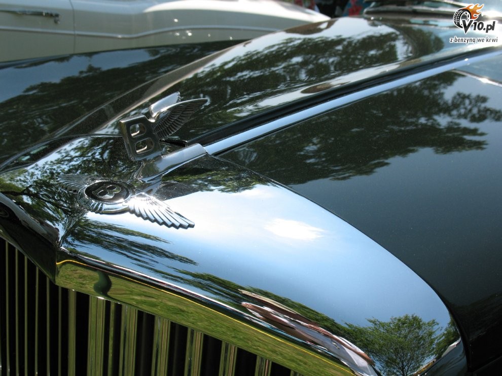 Greenwich Concours d'Elegance 2008 dzie 2