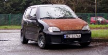 Borki 2008