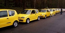 Borki 2008