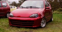 Borki 2008