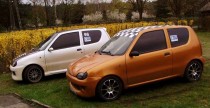 Borki 2008