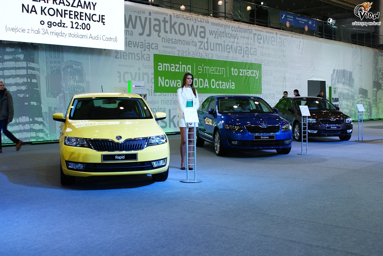 Motor Show Pozna 2013