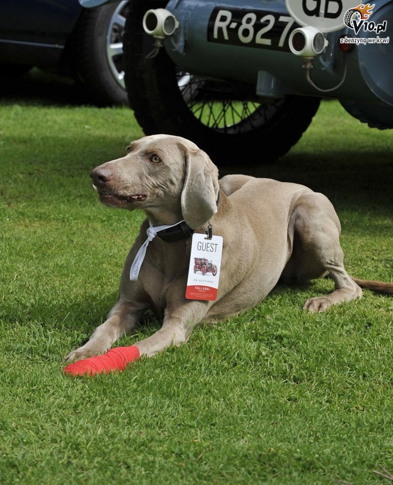 Concorso d`Eleganza Villa d`Este 2013