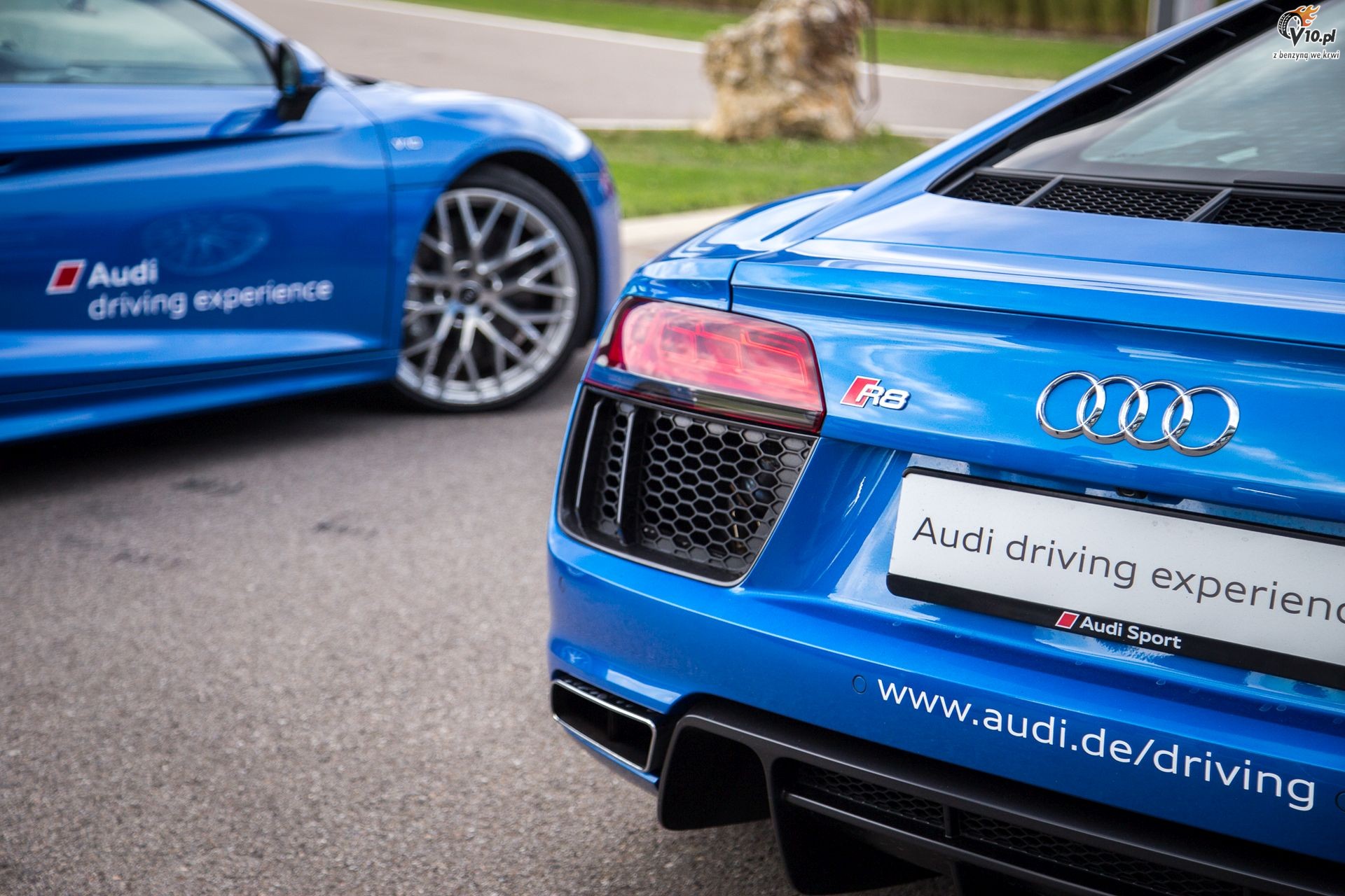 Wszystko o Audi R8