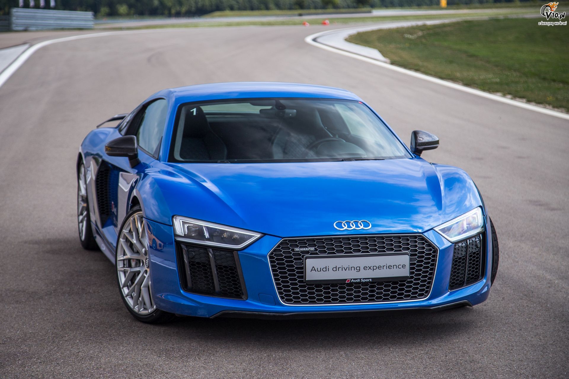 Wszystko o Audi R8