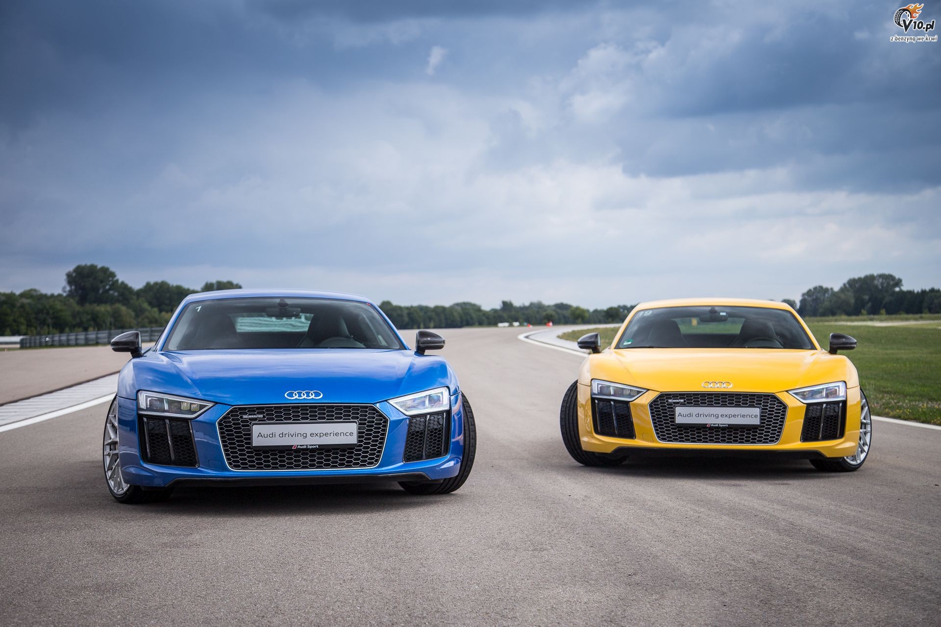 Wszystko o Audi R8