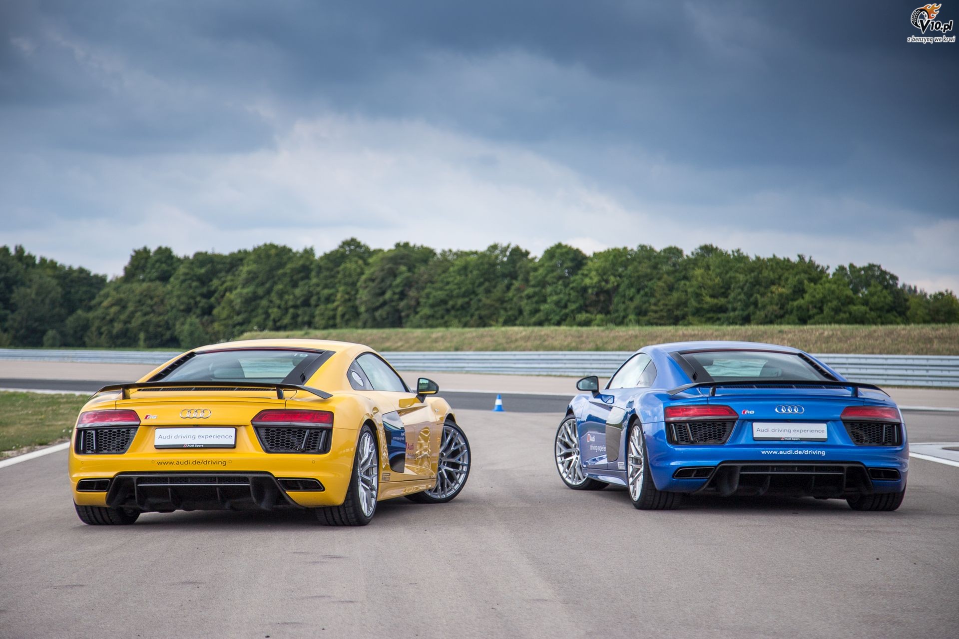 Wszystko o Audi R8