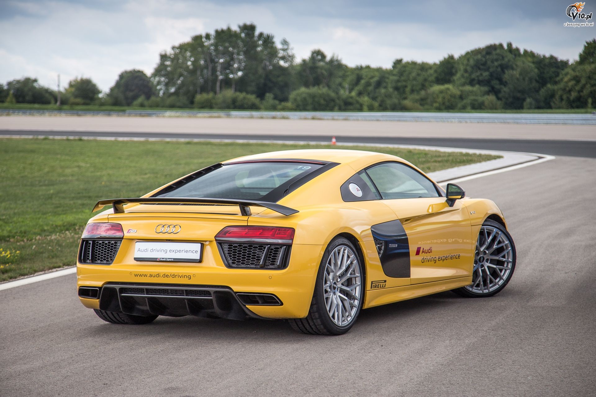 Wszystko o Audi R8