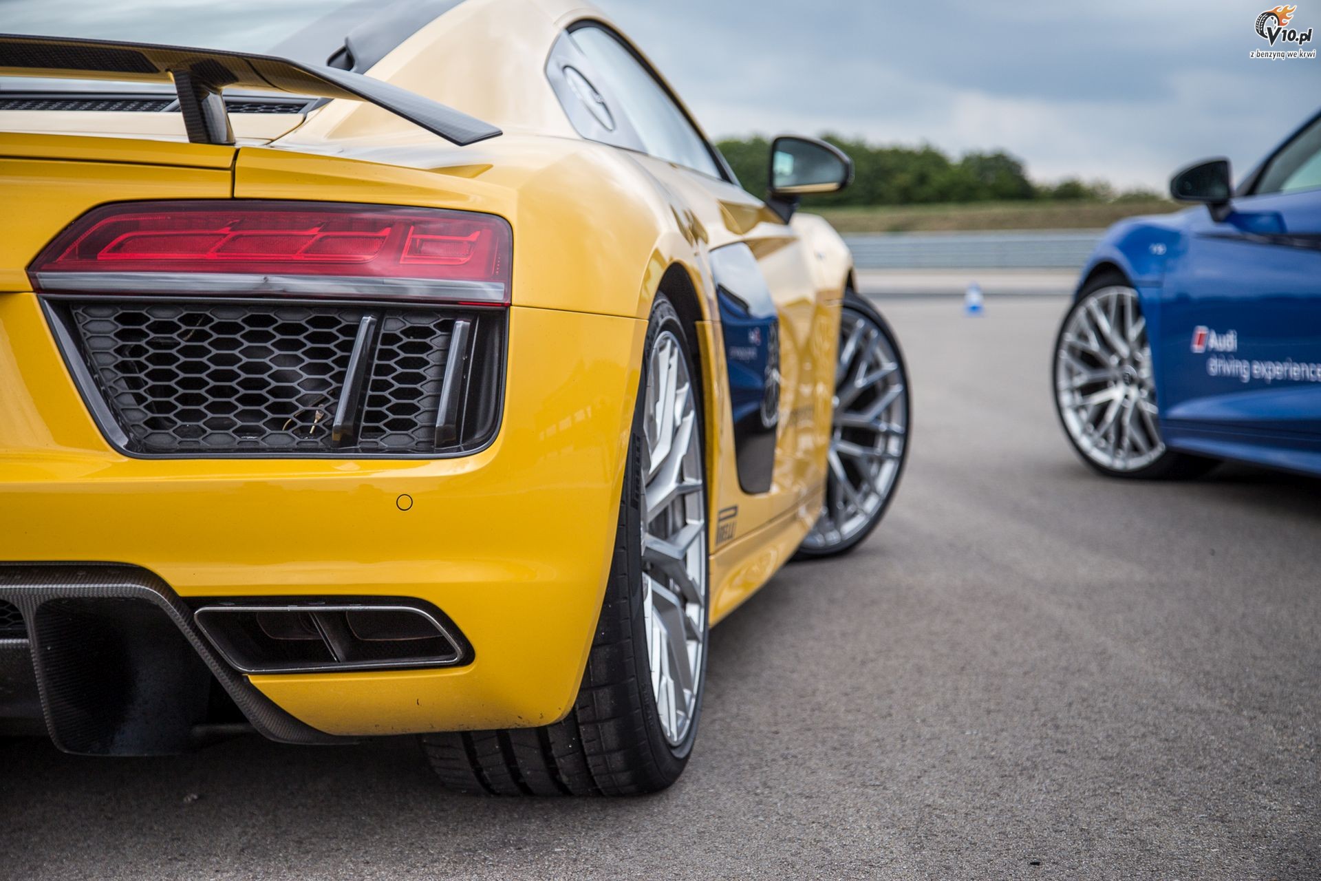 Wszystko o Audi R8