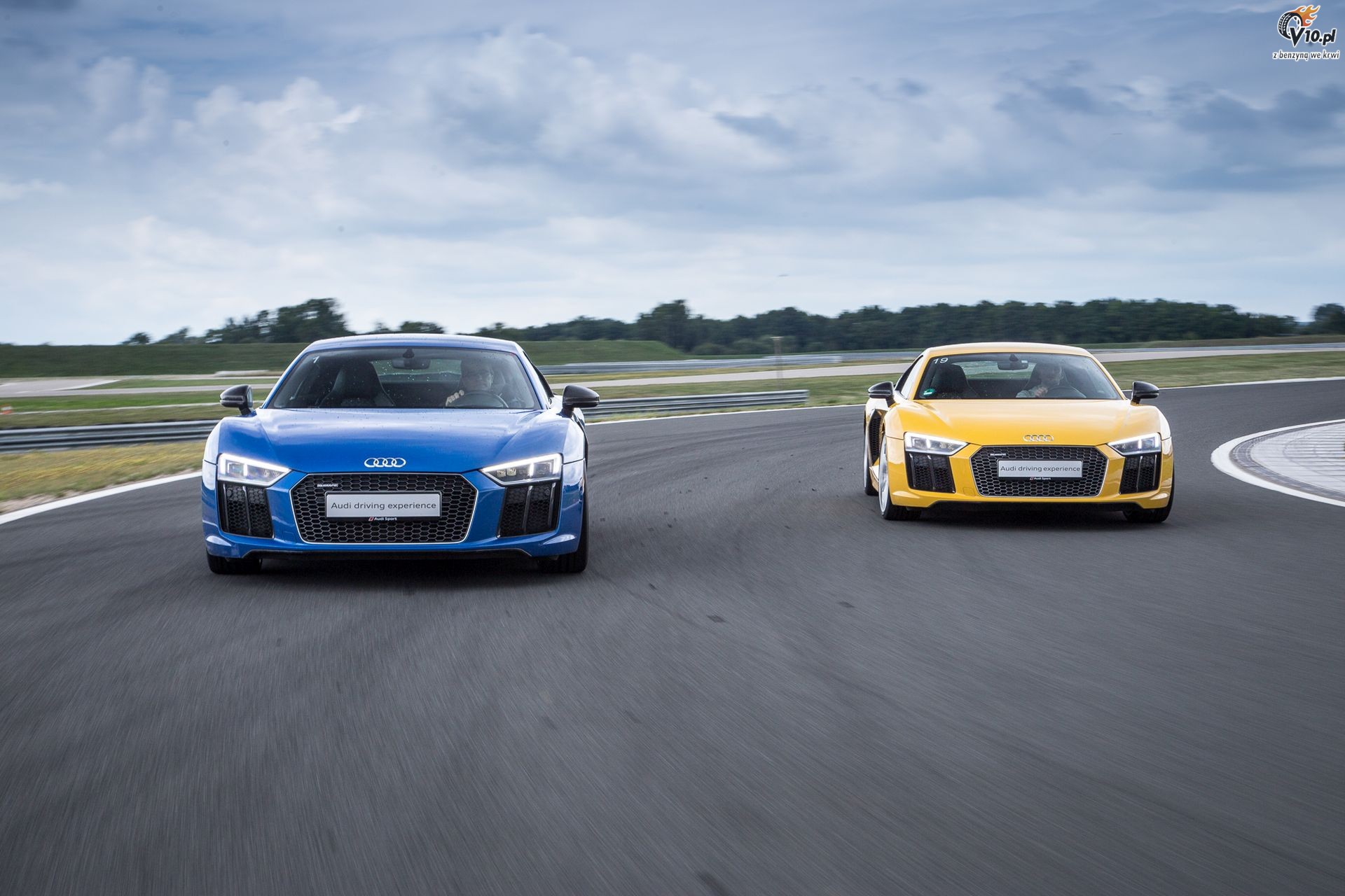 Wszystko o Audi R8