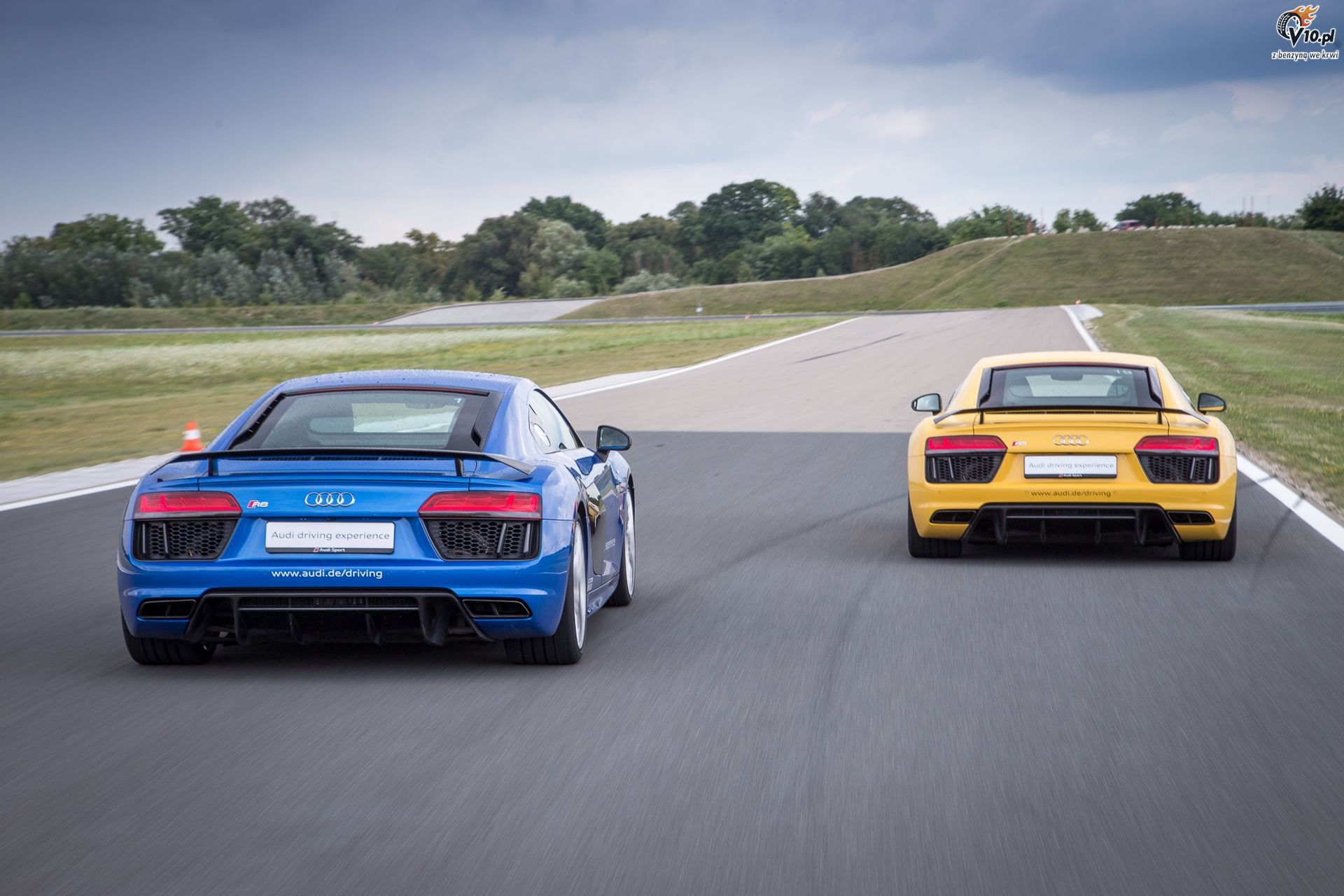 Wszystko o Audi R8