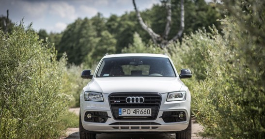 Audi SQ5 Plus - test