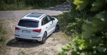 Audi SQ5 Plus - test