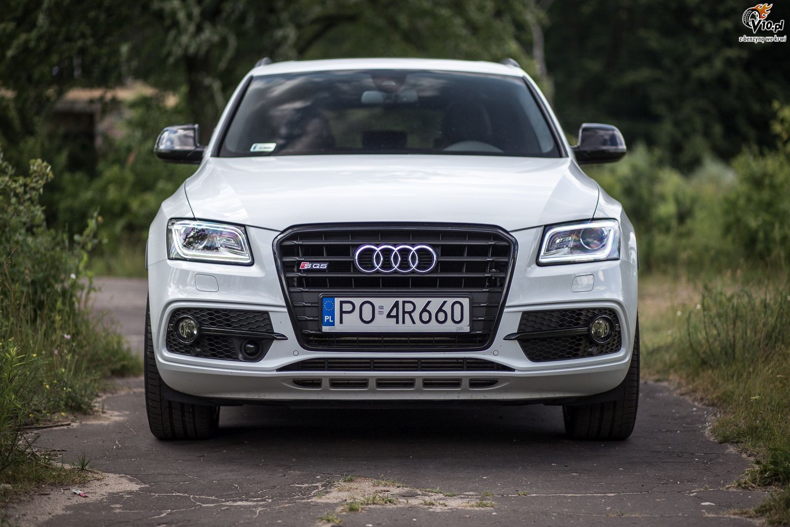 Audi SQ5 Plus - test