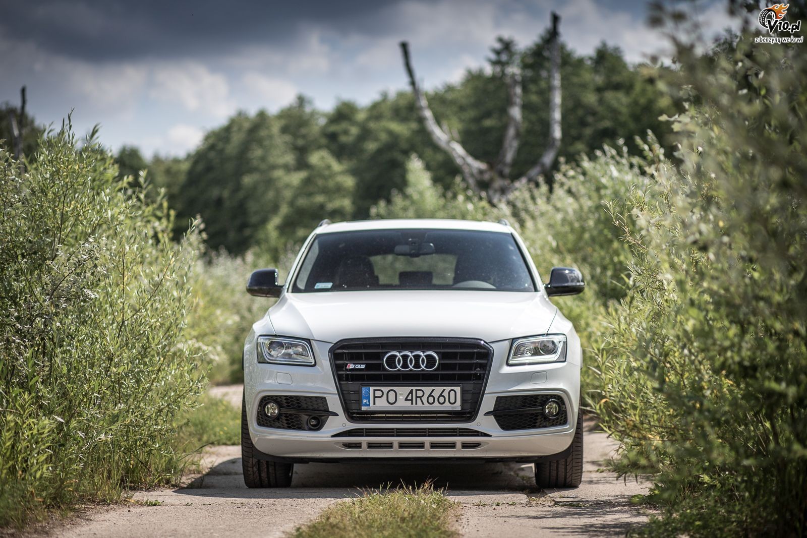 Audi SQ5 Plus - test