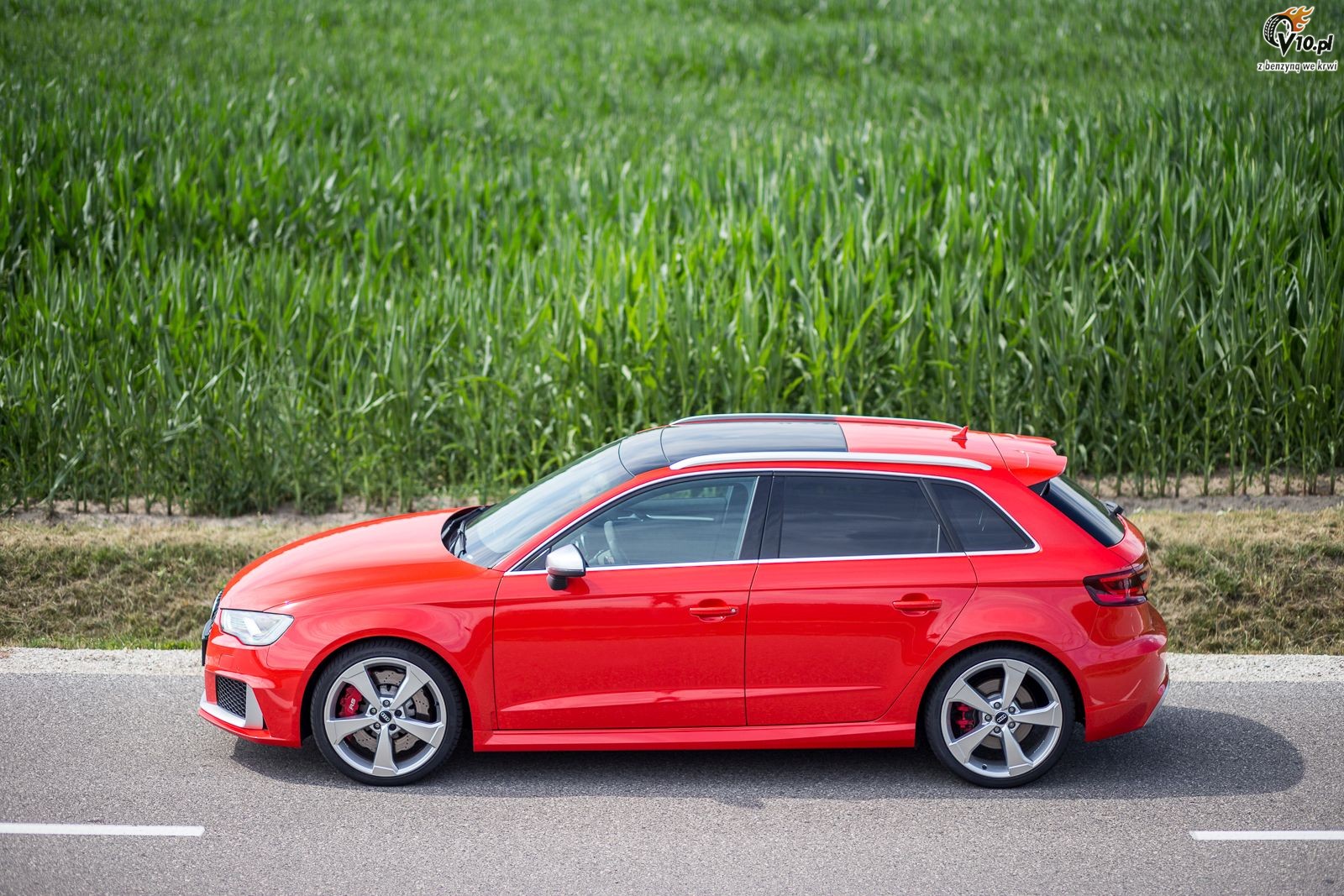 Audi RS 3 vs Ford Focus RS