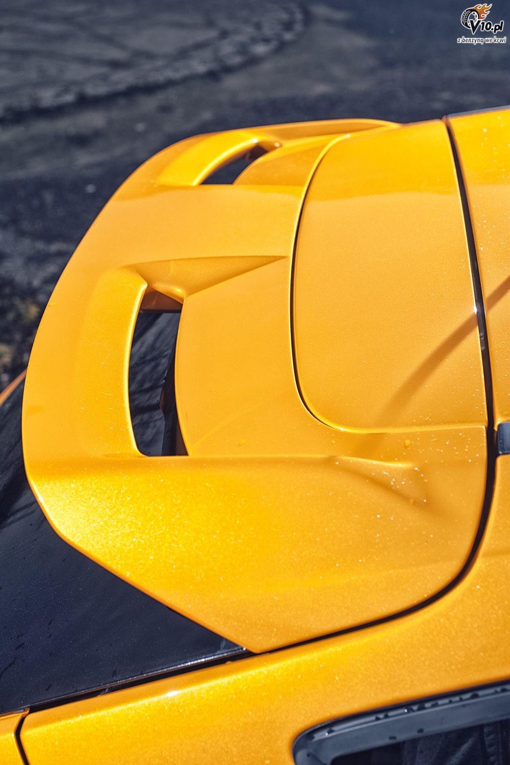 Ford Focus ST -test z Iness Tushkanov