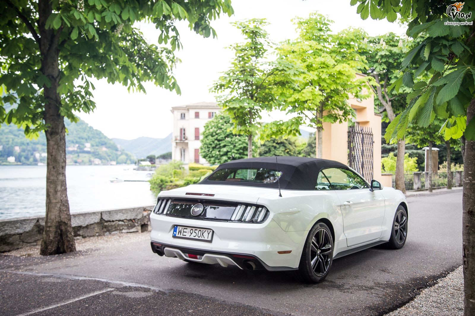Ford Mustang Convertible - nasz test
