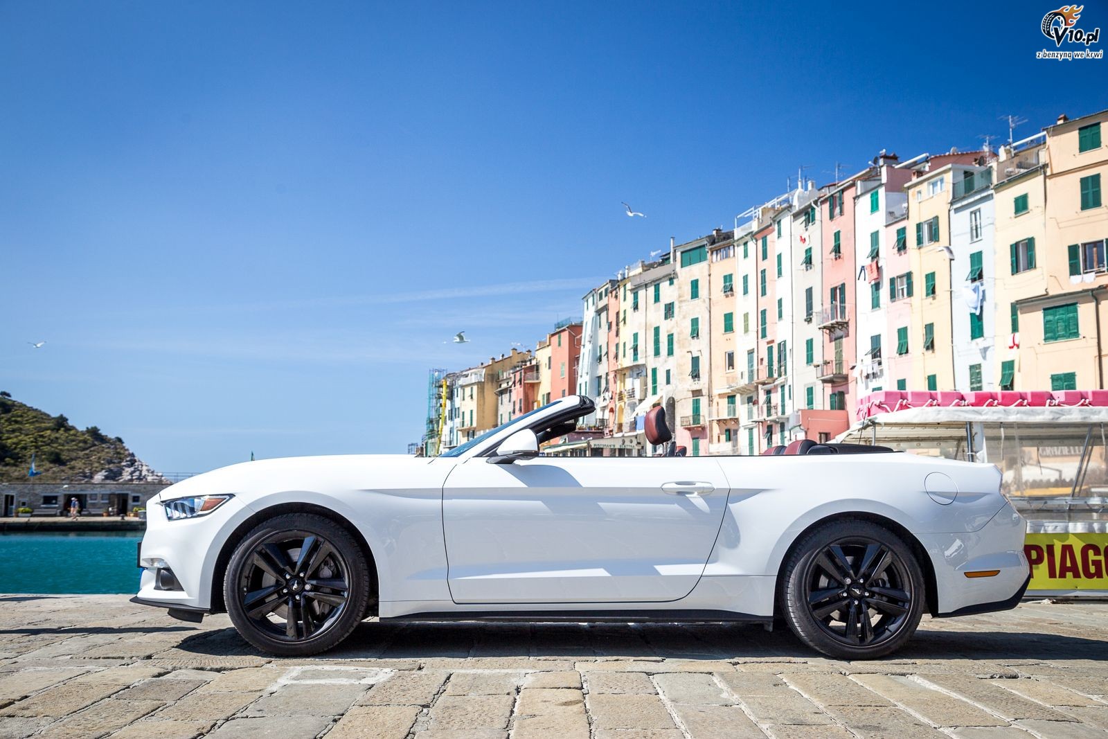 Ford Mustang Convertible - nasz test