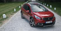 Peugeot 2008 -  test