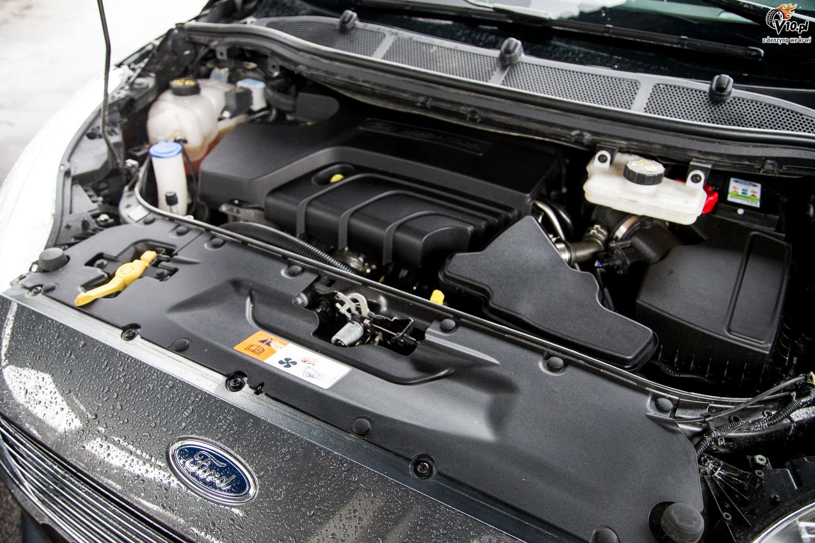 Seat Alhambra czy Ford Galaxy
