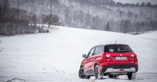 Suzuki Vitara S podbija Bieszczady - nasz test