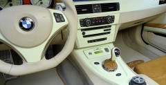 BMW GP3.10 wg AC Schnitzer