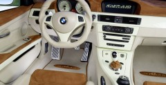 BMW GP3.10 wg AC Schnitzer