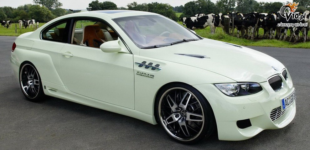 BMW GP3.10 wg AC Schnitzer