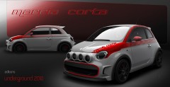 Fiat 500 Camal