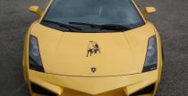 Lamborghini Gallardo Galaxy Edition