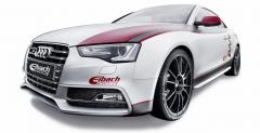 Audi S5 Coupe Eibach