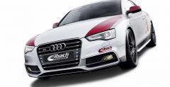 Audi S5 Coupe Eibach
