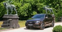 Audi Q5 Senner Tuning