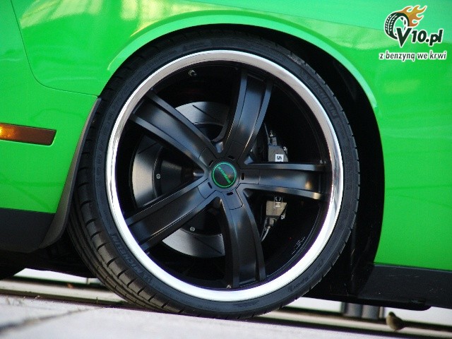 Dodge