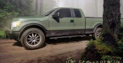 Ford F150 Carlex Design