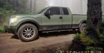 Ford F150 Carlex Design