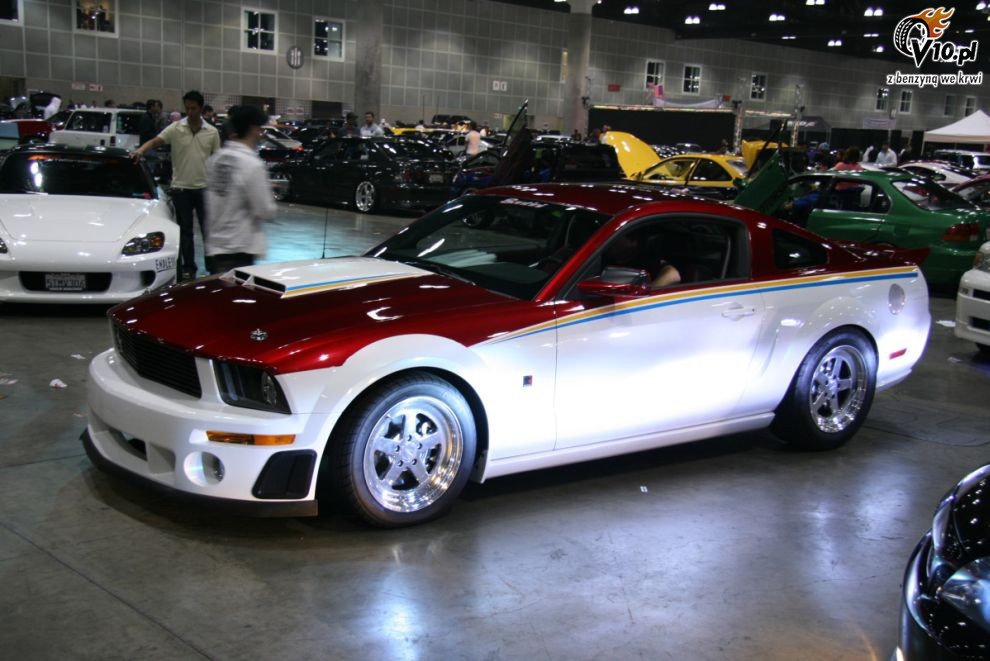 Hot Import Nights 2008