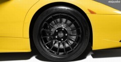 Lamborghini Murcielago od Reiter Engineering