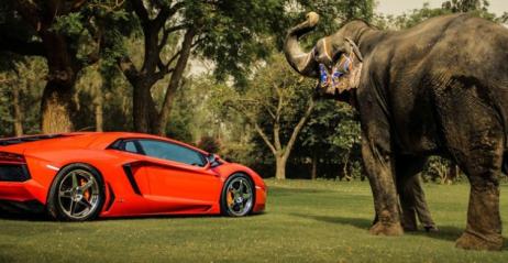 Lamborghini Avemtador ADV.1 Wheels