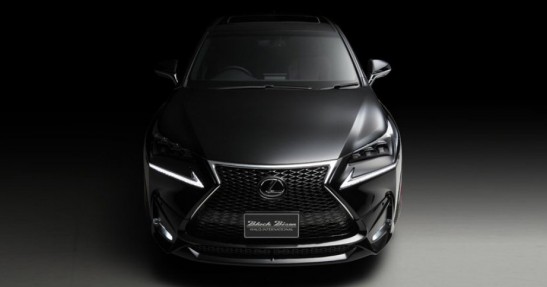 Lexus NX Wald International