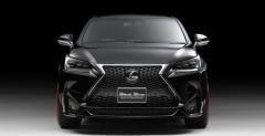 Lexus NX Wald International