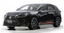 Lexus NX Wald International