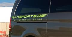 Mercedes Vito Hartmann