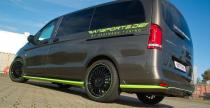 Mercedes Vito Hartmann