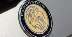 Mercedes E Loewenstein