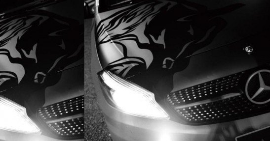 Mercedes A Wald International