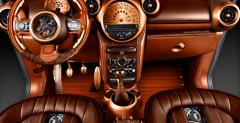 Mini Countryman Steampunk Carlex Design